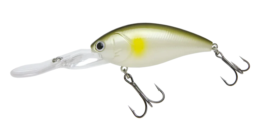 SHOT OVER 5 | BASS | NORIES