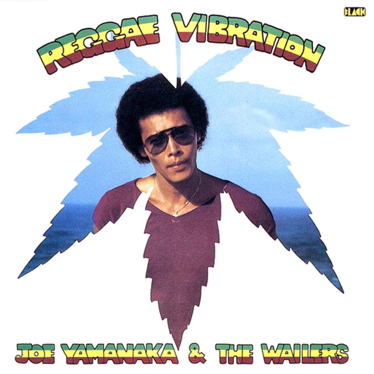 ジョー山中の80年代前半の本格レゲエ期作品をサブスク解禁 - 音楽ナタリー