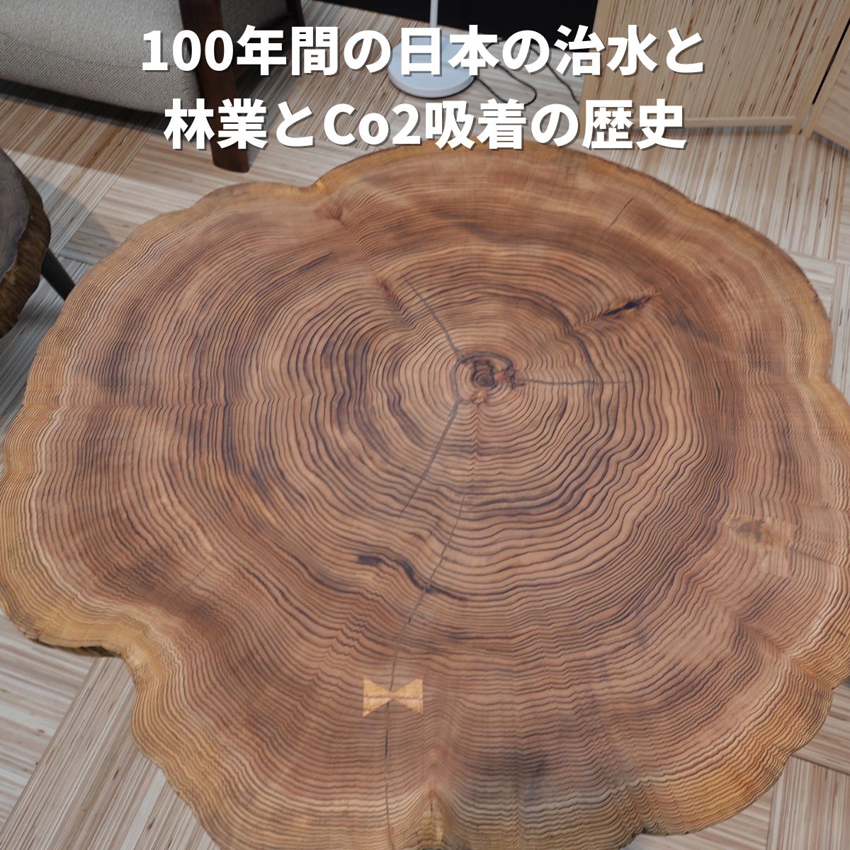 大川家具ドットコムが日本の森林資源を有効活用した樹齢100年前後の