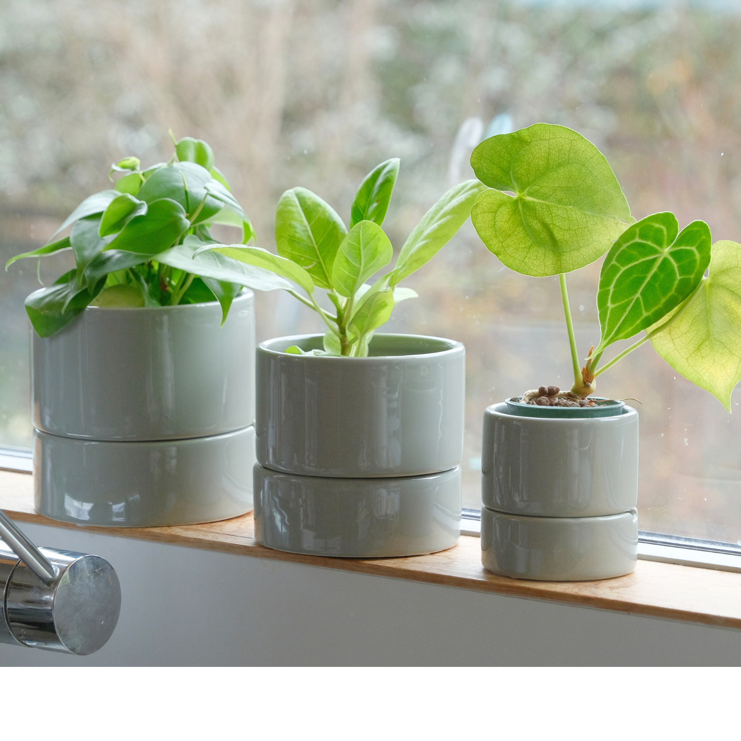 食虫植物・ハイドロカルチャーにぴったり｜陶器 植木鉢｜4号｜すーさん