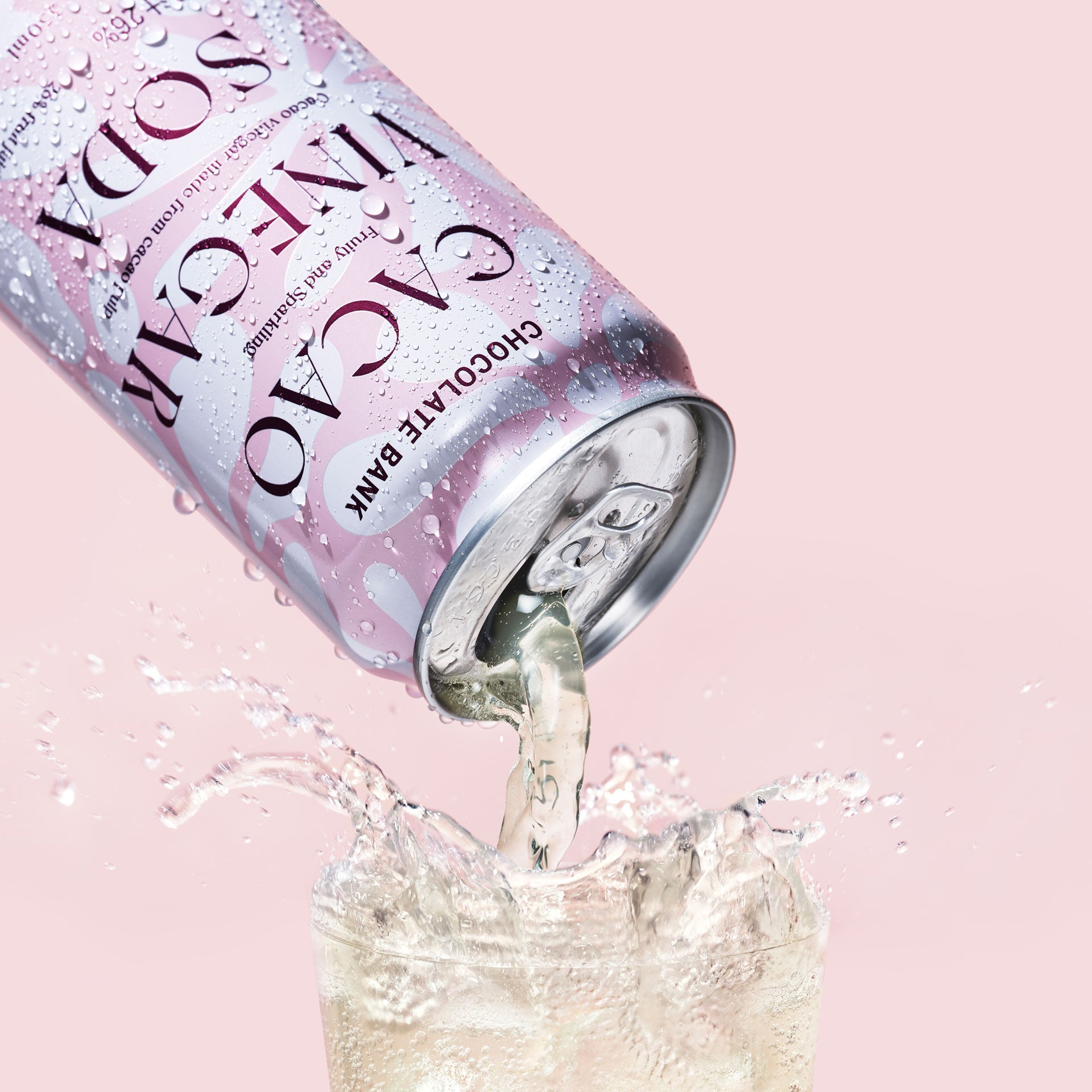 アンゴラ産 キャンサータマオシコガネ 46mm タマオシコガネの仲間