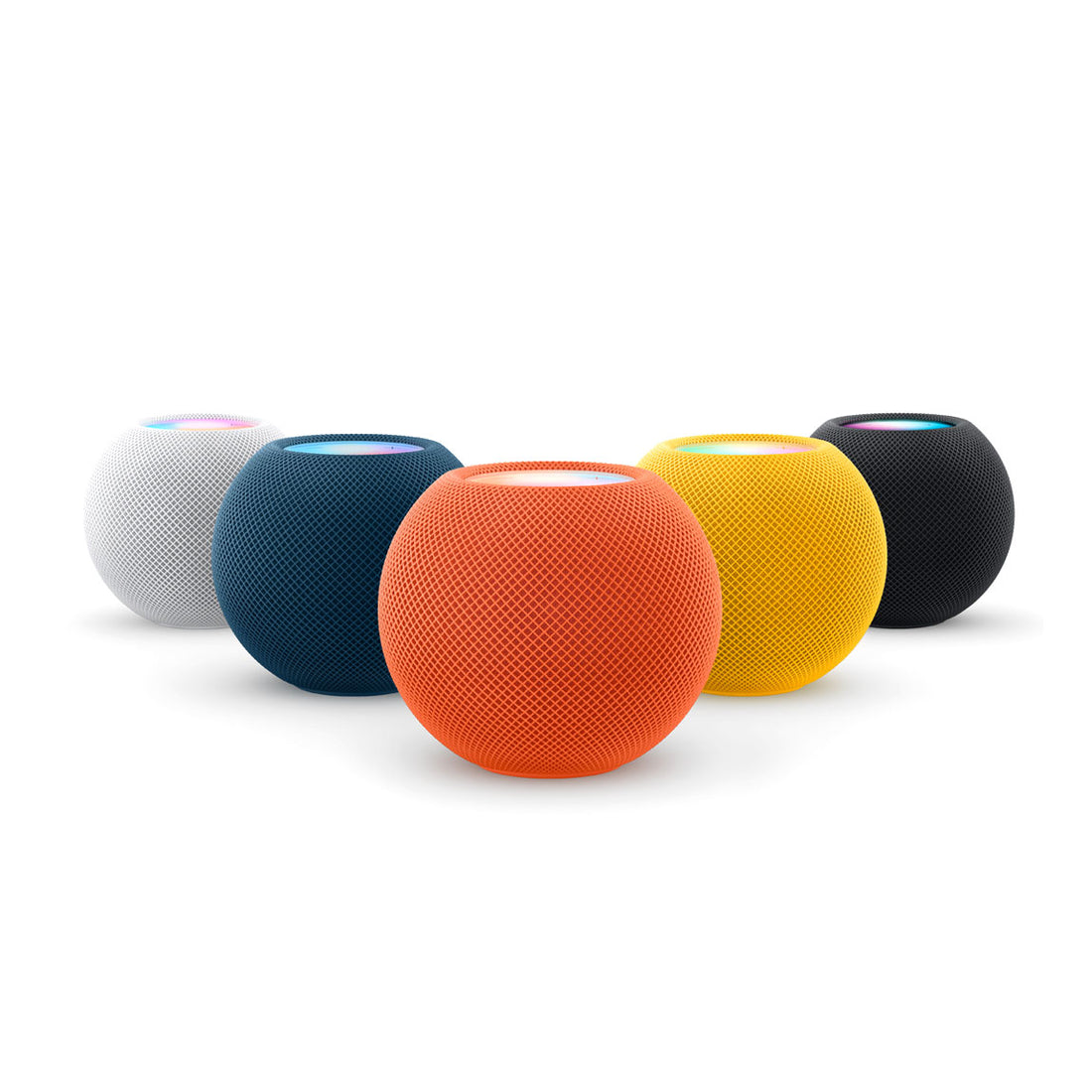 0_1d6724fb-73e1-4277-9ef3-