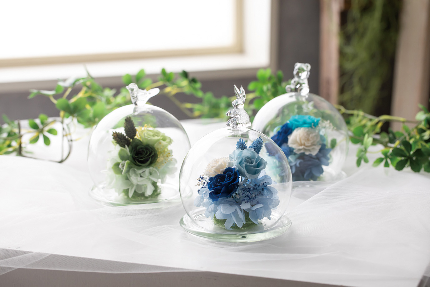 ガラスドーム トリ: フラワーベース・鉢カバー ｜ YDMオンラインストア