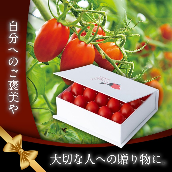 野菜 トマト ギフト ｜食とお酒の通販サイト「うまいる」