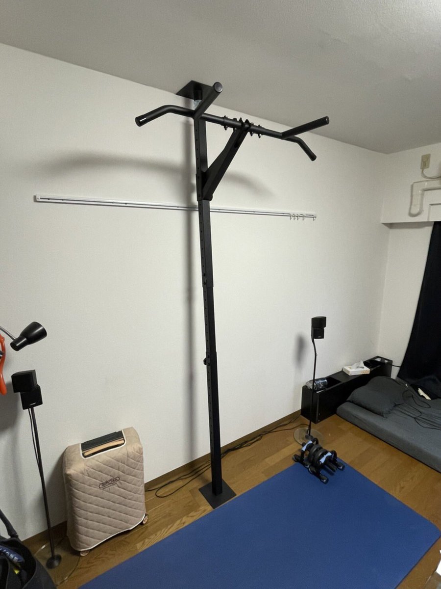 TEDDY WORKSさんの懸垂バー「KENSUI -kaku-」を購入。 ソファを処分し