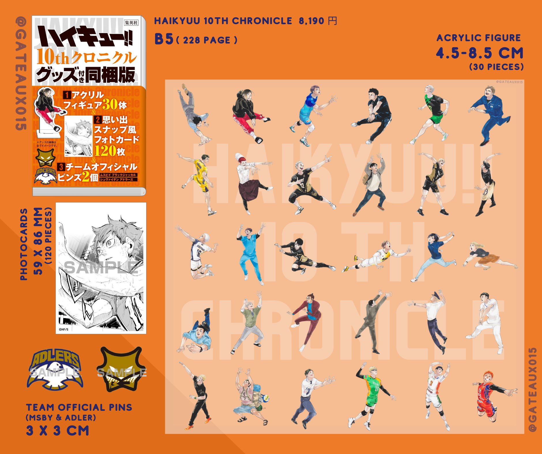 ハイキュー!! 10thクロニクル ハイキュー！！10thクロニクル