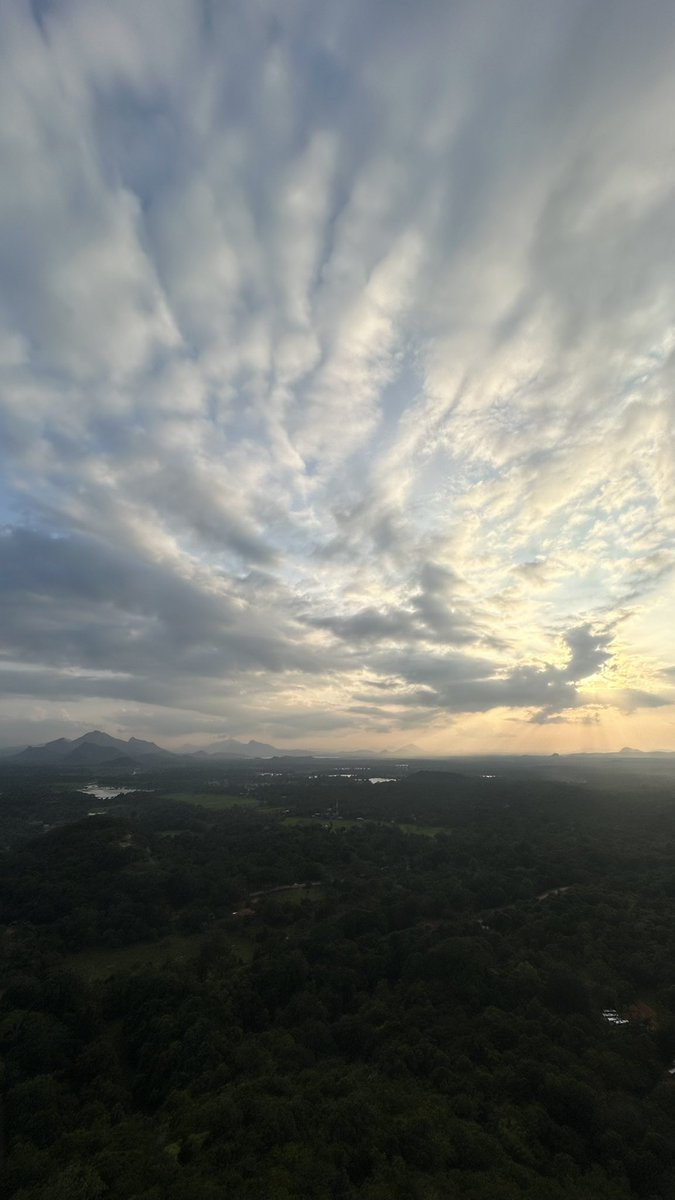 はるきち (@harukichi_eizou) / Posts / X