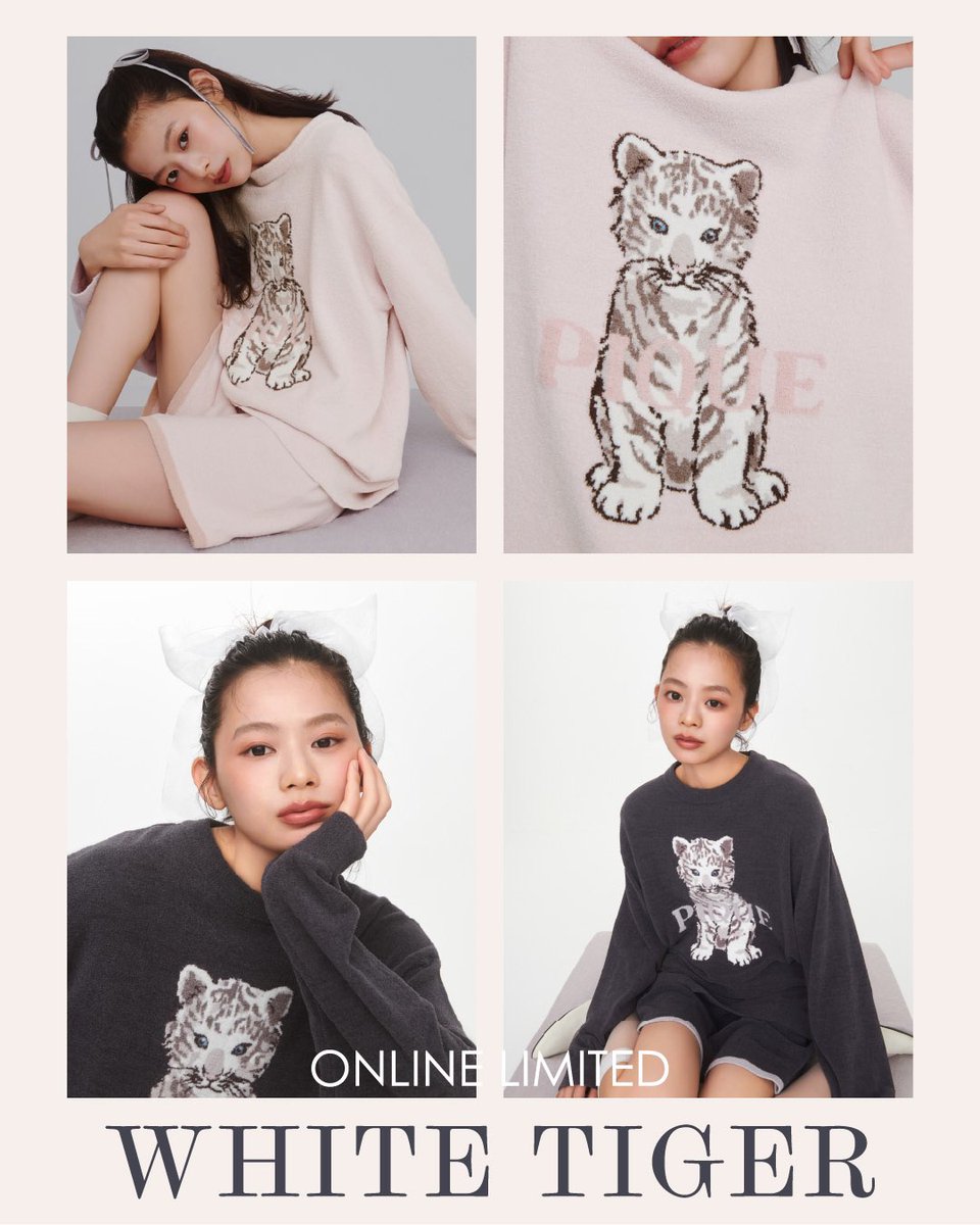 WHITE TIGER SERIES🤍 あどけない表情のこどものホワイトタイガーが