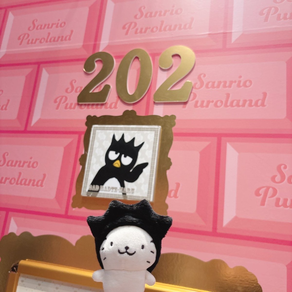 グッドはな丸 (@87maruGood) / Posts / X