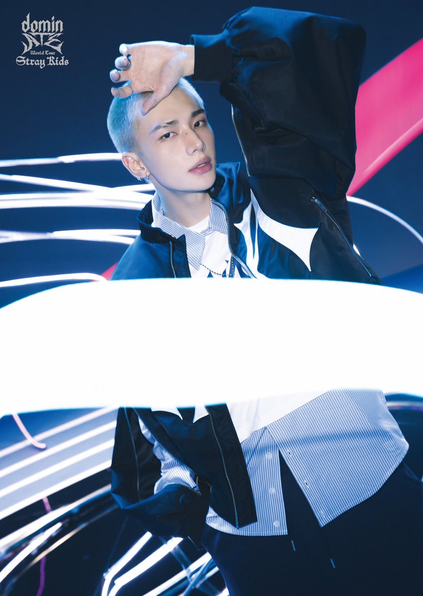 straykids celebrATE プラッシュバッグ バンチャン straykids celebrATE SKZOO PLUSH BAG プラッシュバッグ ポガリ