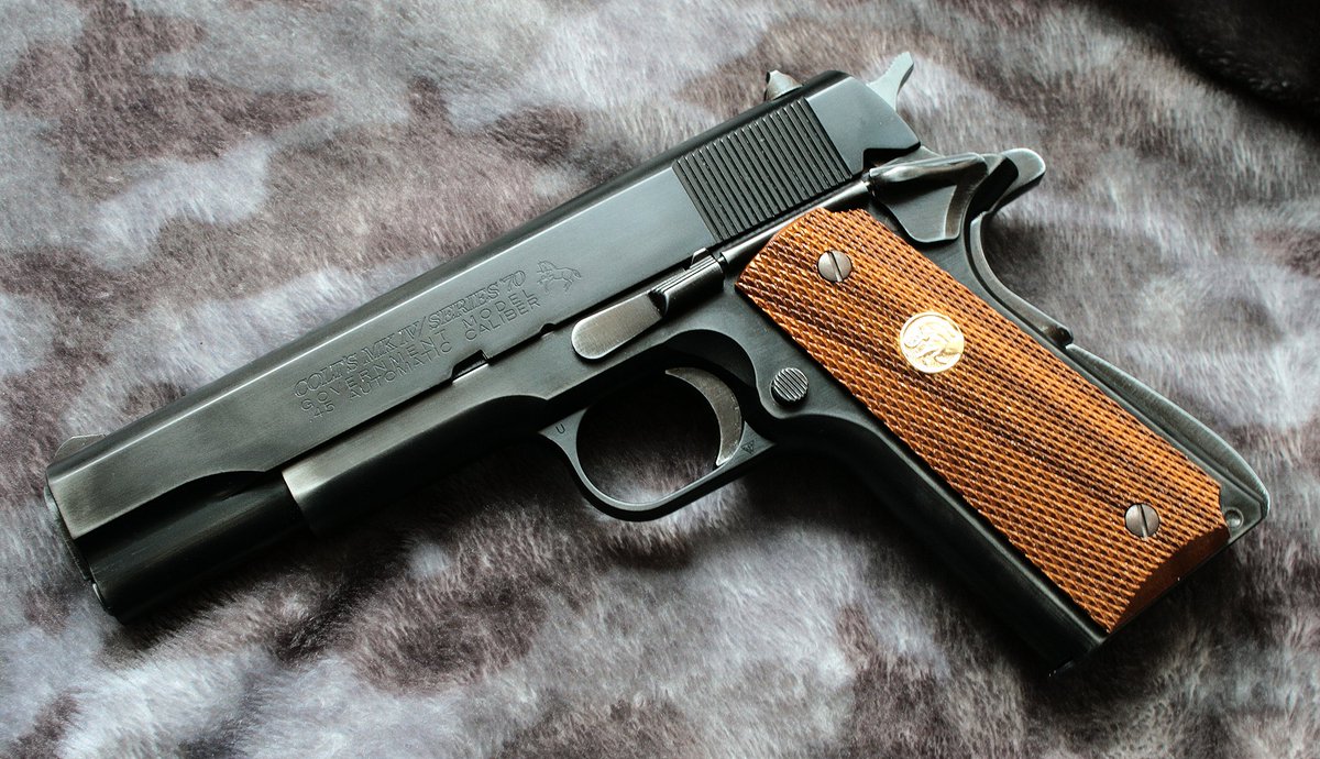 持ってる全てのWAガバメントを上げる十三日目(っ`ω´c) ・ハンター