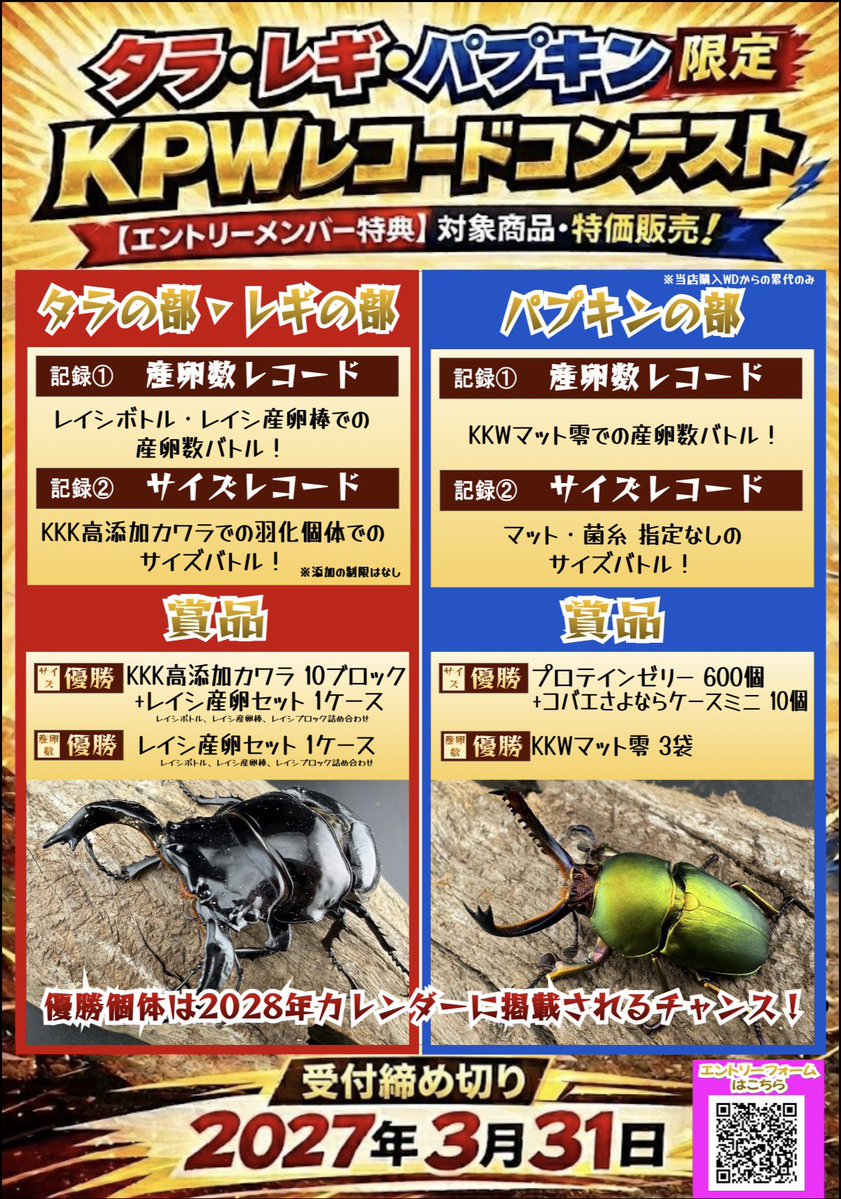 入荷のご案内】 人気の標本箱が入荷しました！ お待たせしました