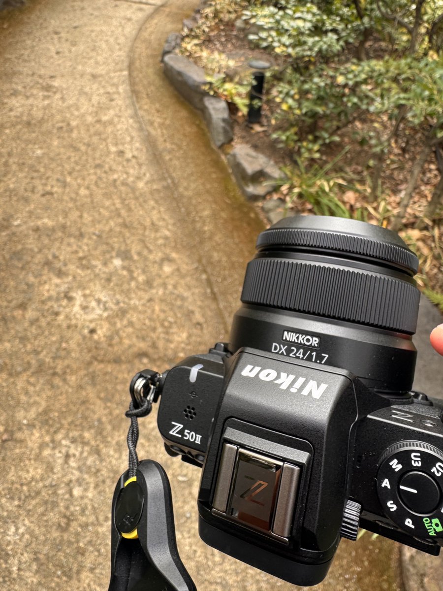 ららら♪📸🕊𓂃𓂂𓏸♡ (@rarara1818184) / Posts / X