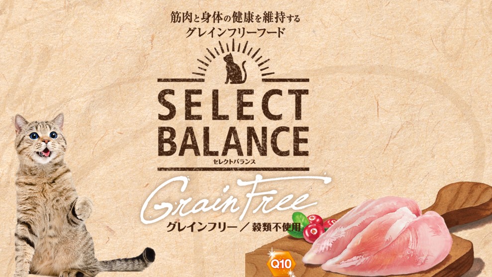 ブリーダー セレクトバランス グレインフリー 猫用 アダルト チキン 10kg