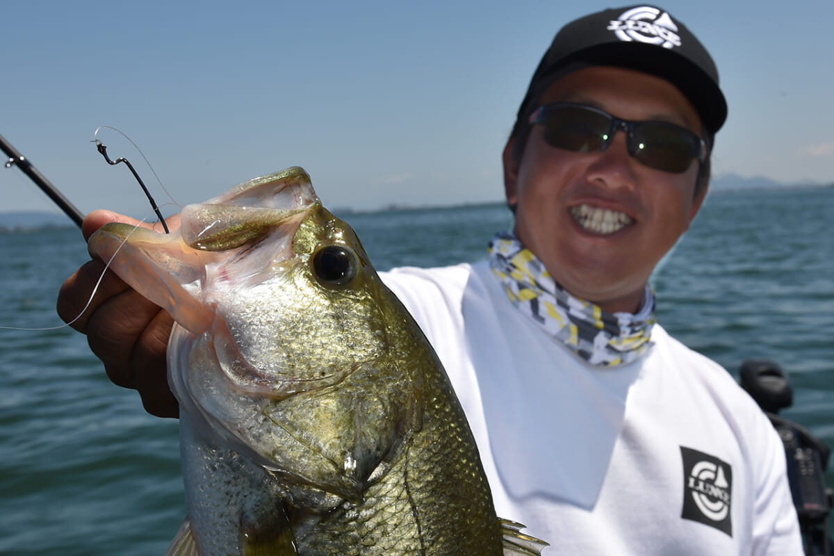 8月のバス釣り】日中にもバイト連発を味わえる！ 狙うべき場所と