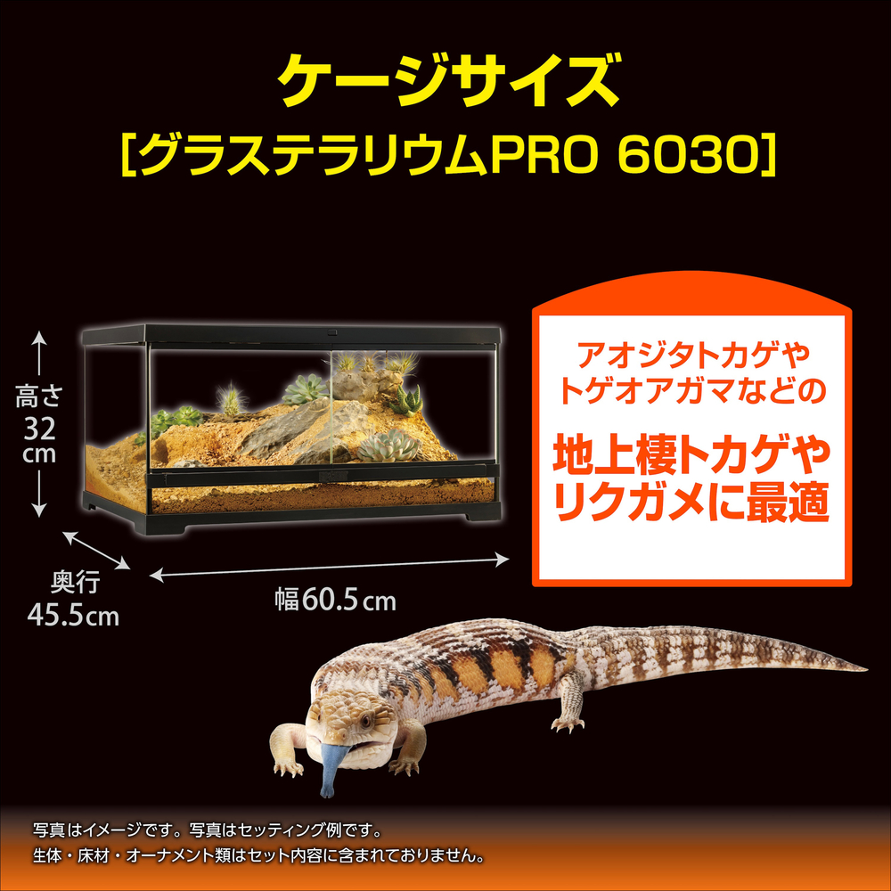 フトアゴ&リクガメ飼育キットGTP6030 | ジェックス株式会社