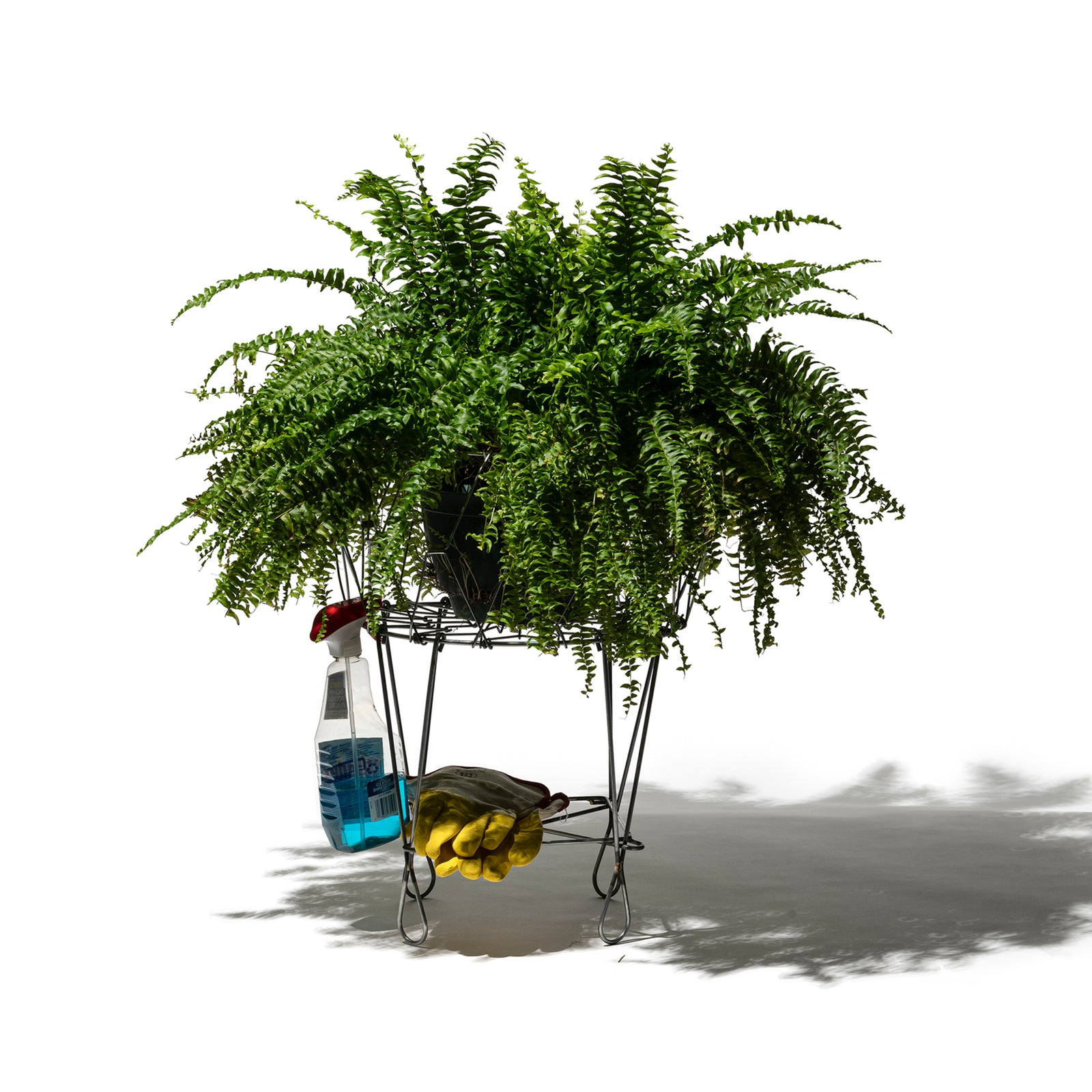 110691_7_sf_1600x.jpg?v=1680052614