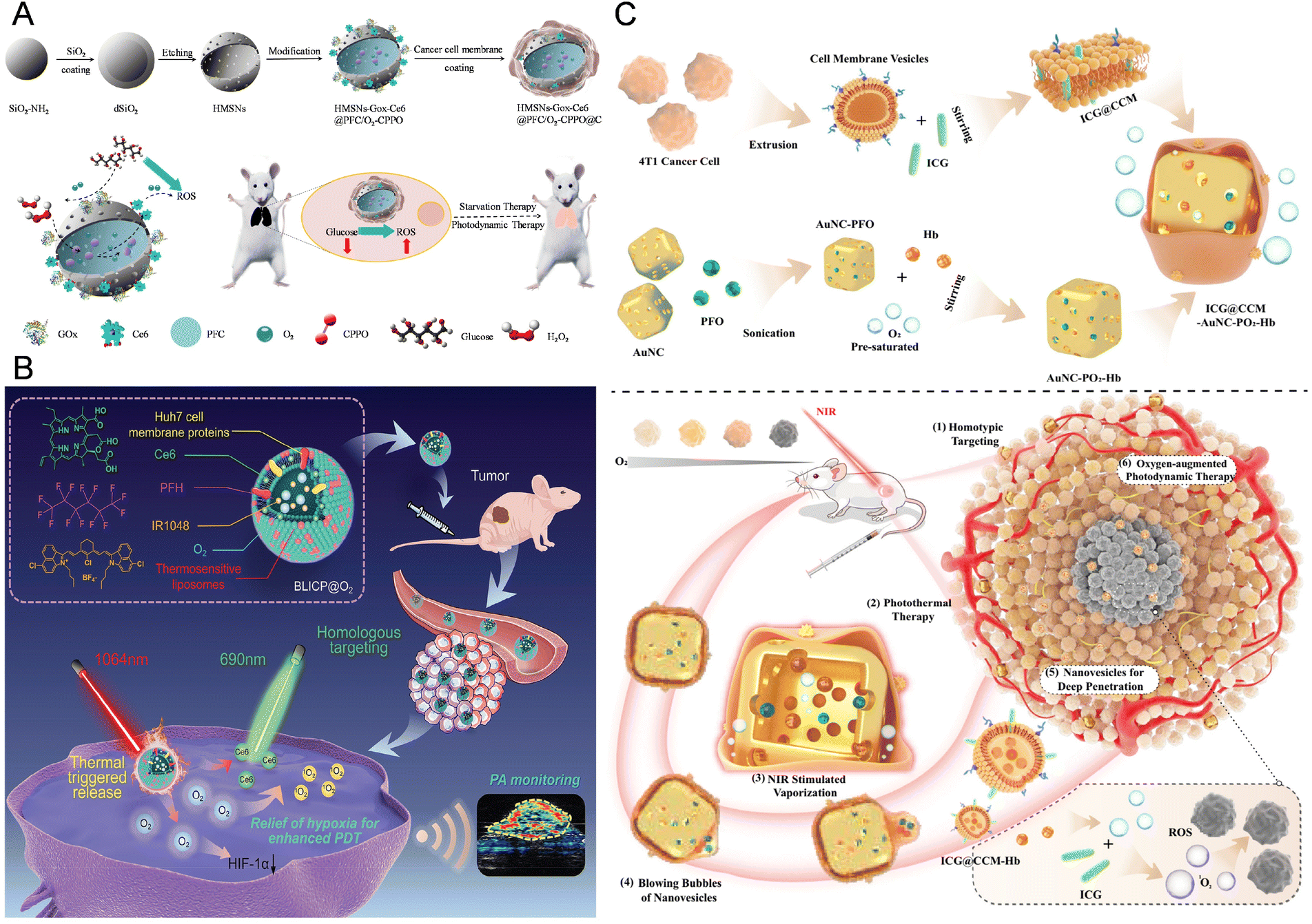Gas-mediated cancer therapy: advances in delivery strategies and