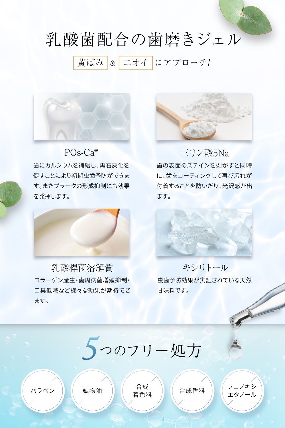 2023年 シャンプー＆トリートメント、ボディソープ、歯磨き粉を発売