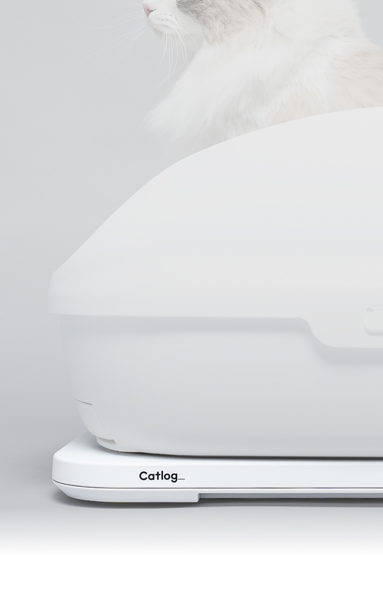 Catlog Boardの購入 | Catlog