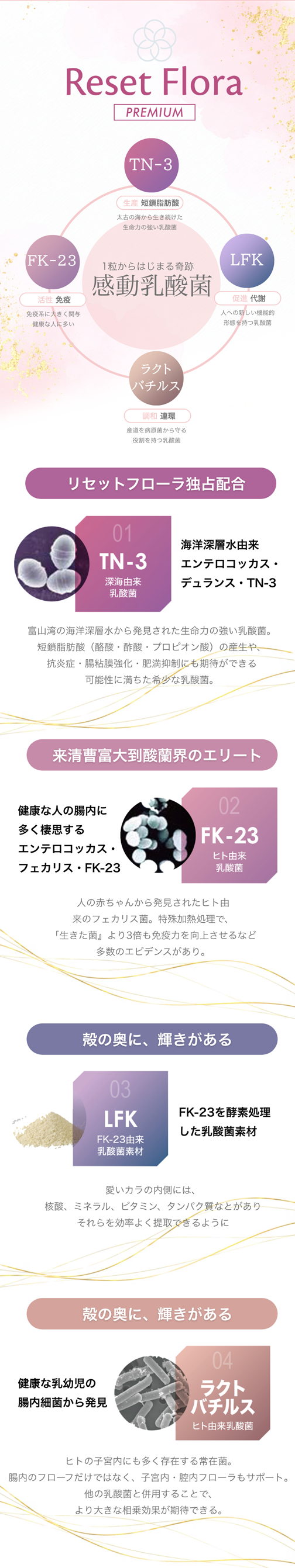 RESET FLORA PREMIUM | リセットフローラプレミアム