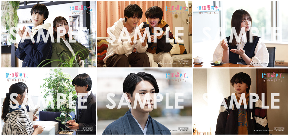 Blu-ray｜低体温男子になつかれました。｜ドラマ｜TOKYO MX