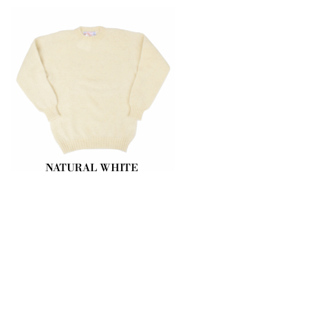 SELECT STORE SEPTIS / PETER BLANCE(ピーターバランス/ブランス