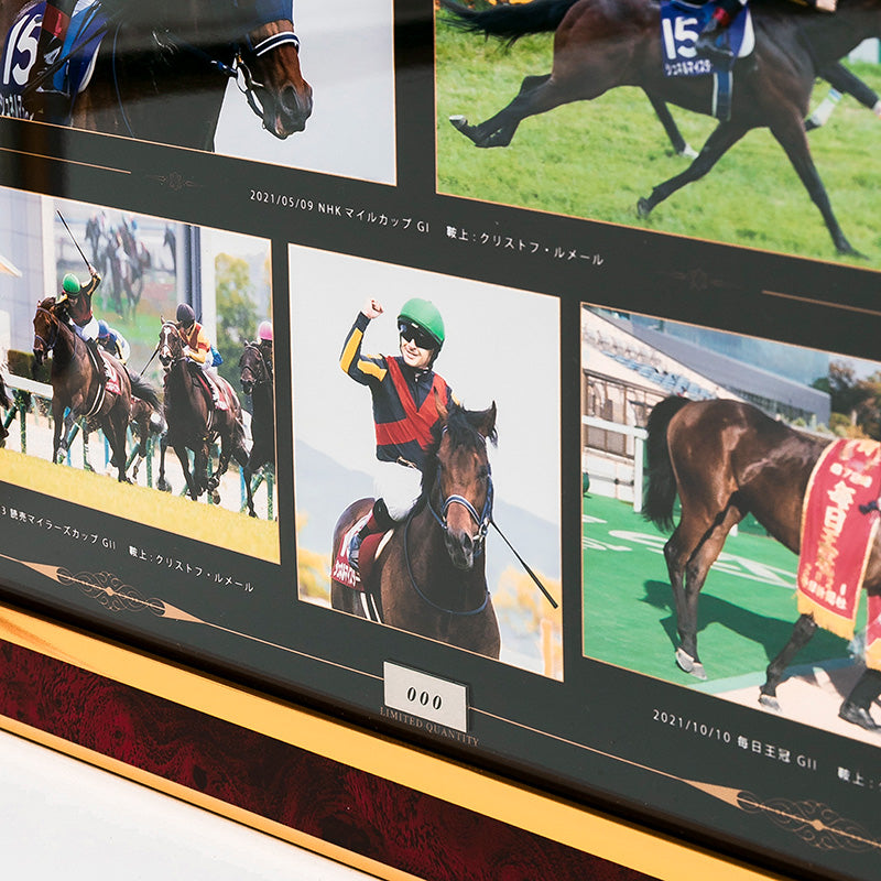 HORSE GOODS net】シュネルマイスター・引退記念写真パネル｜netkeiba