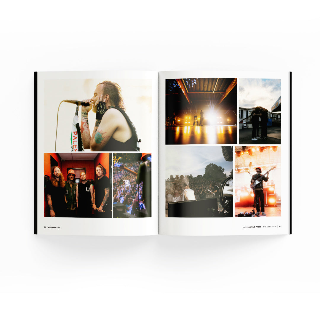 THE USED 'THE USED' 2LP (Limited Edition – Only 500 Made, Bloodshot Vi