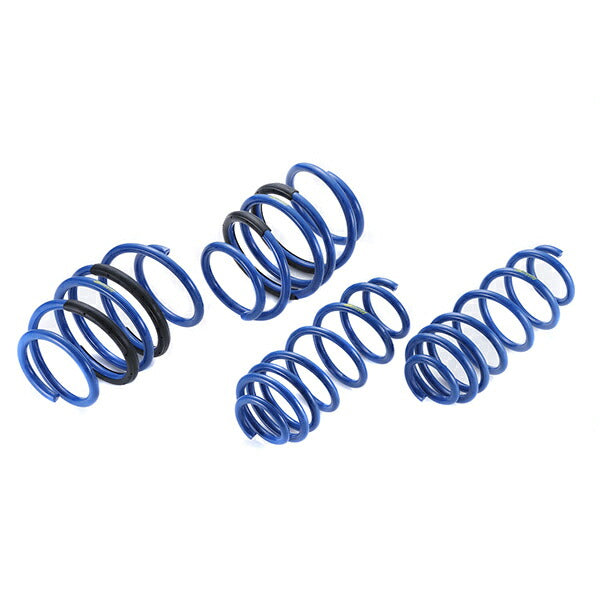 RAV4 MXAA54 ダウンサス フロント左右セット タナベ サステック X