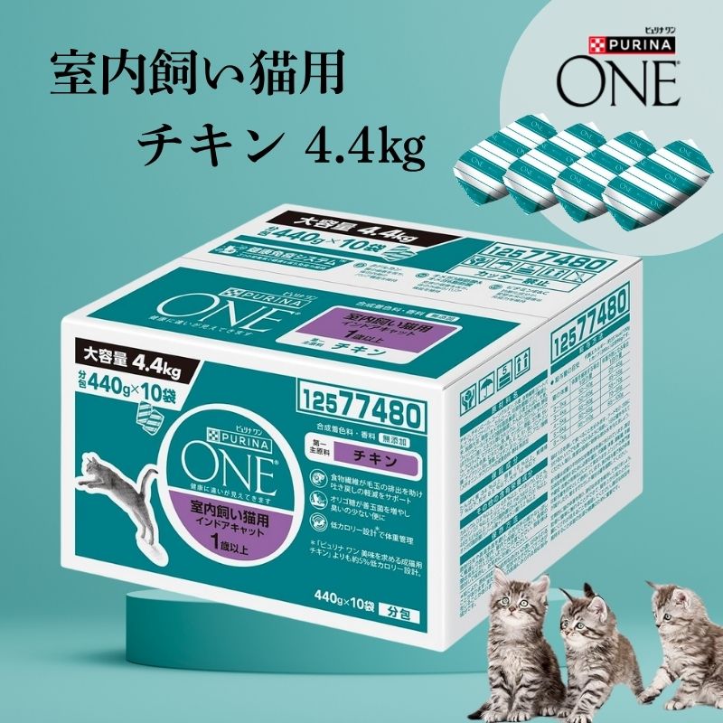 16箱ピュリナ ワン キャットフード ターキー4.4kg賞味期限：2026.02