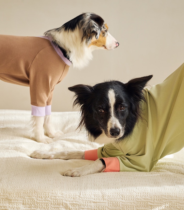 MANDARINE BROTHERS マンダリンブラザーズ公式オフィシャルショップ