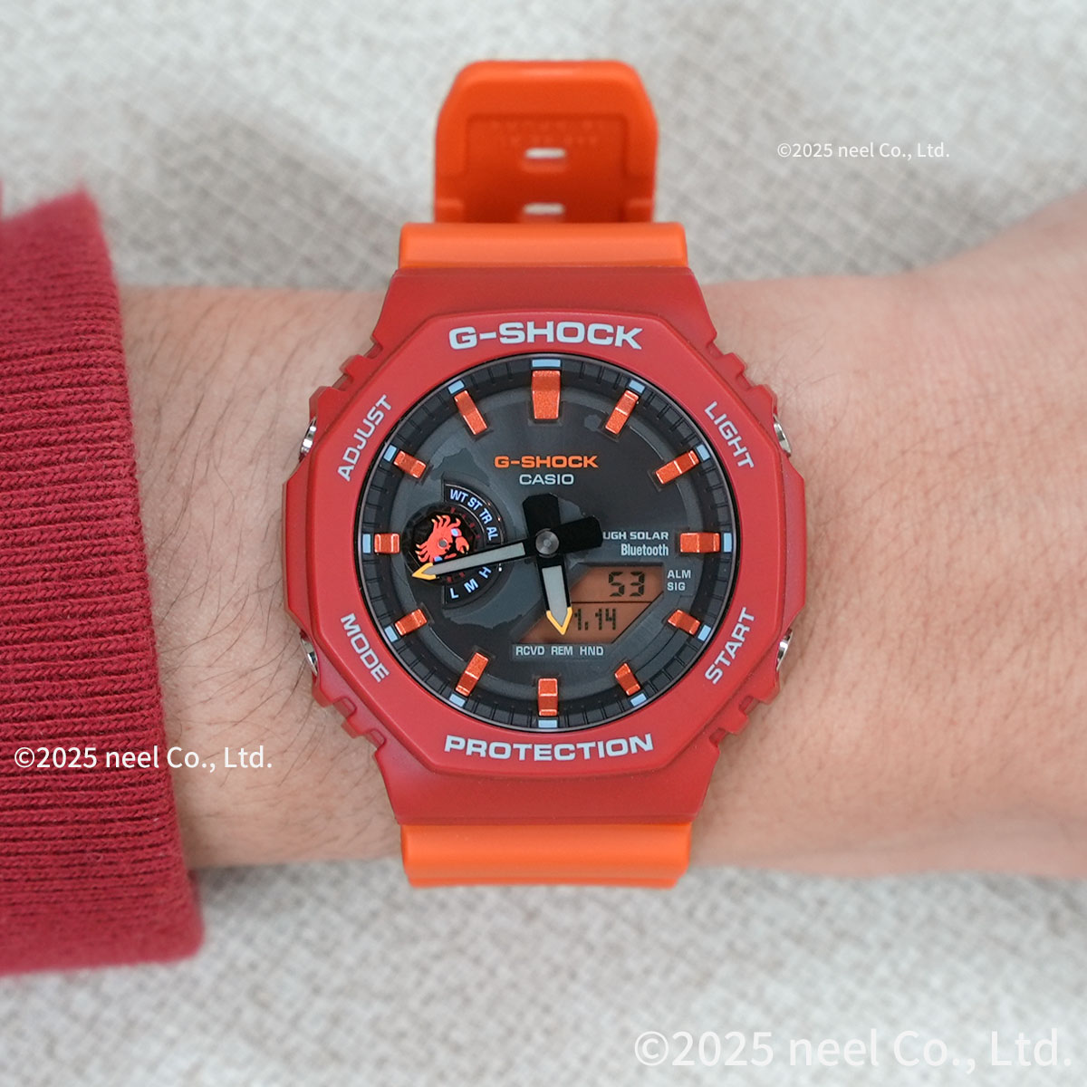 G-SHOCK Gショック ソーラー Charles Darwin Foundation コラボ 限定