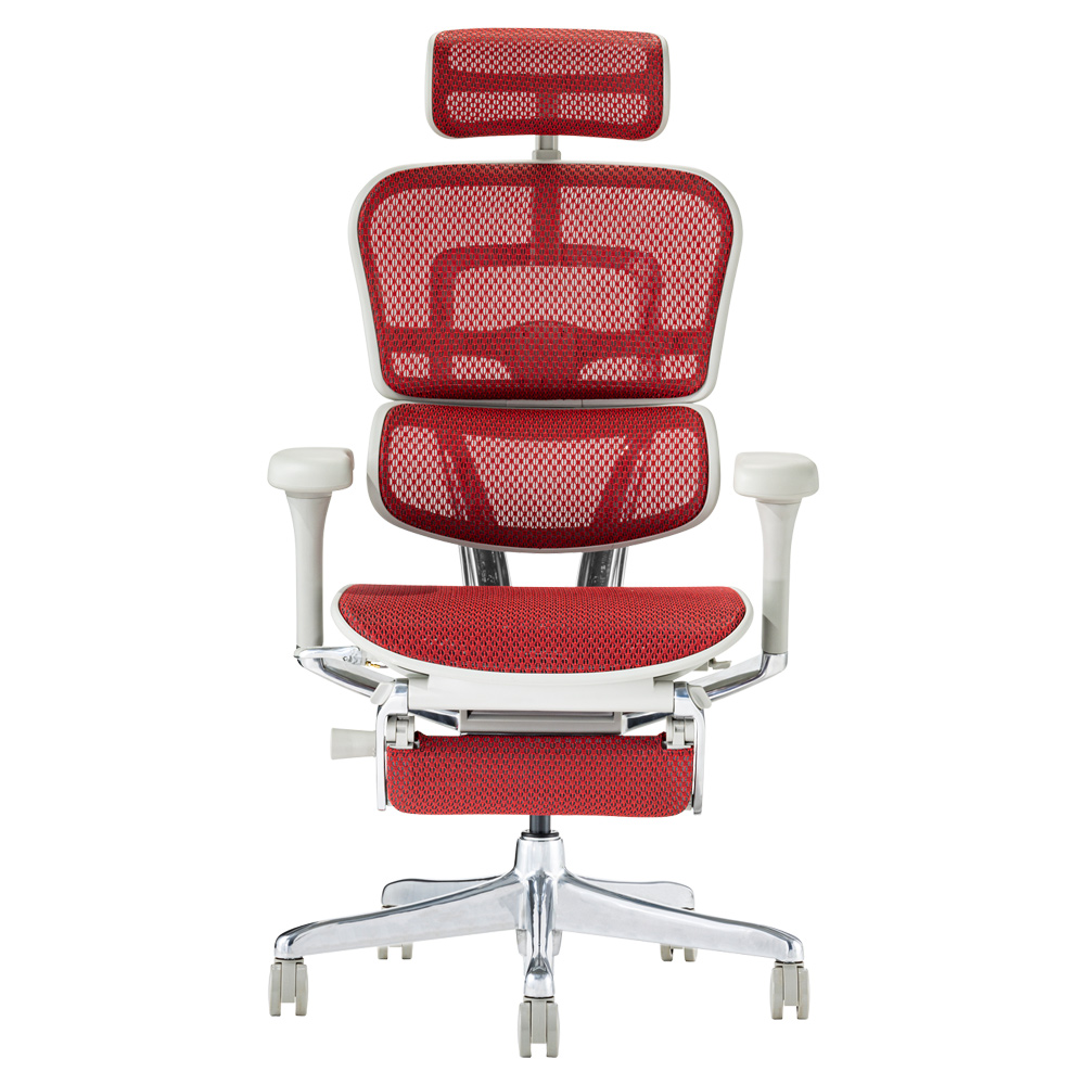 エルゴヒューマン（Ergohuman） メーカー組立済完成品 プロ2