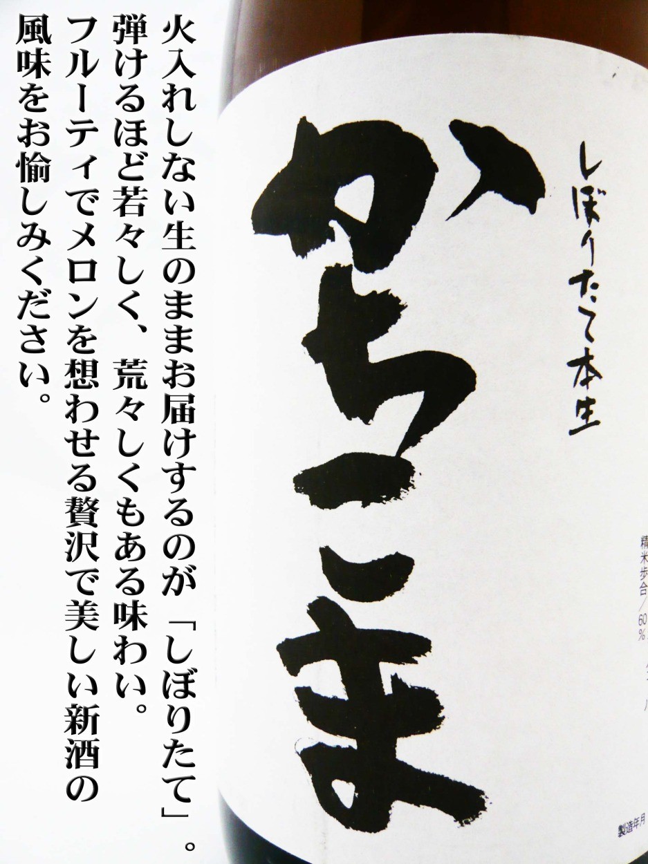 日本酒 勝駒 しぼりたて本生 新酒 1.8L （かちこま） 限定品 : 岡田屋