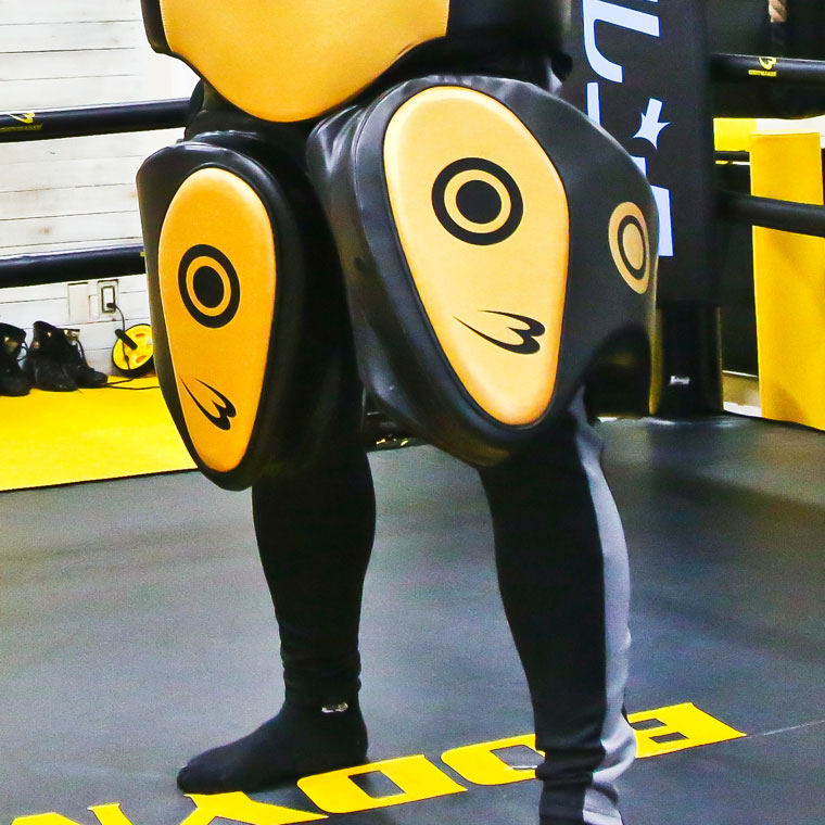 BODYMAKER（ボディメーカー） ローキックガード ローキック