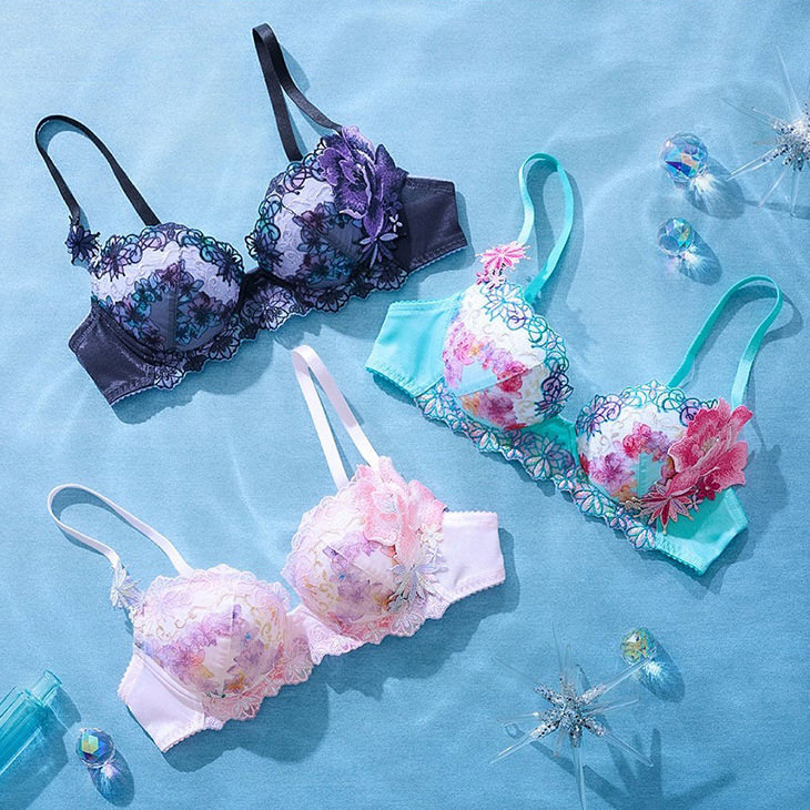 サルート（SALUTE） Salute 50グループ 50G ブラジャー プッシュアップ