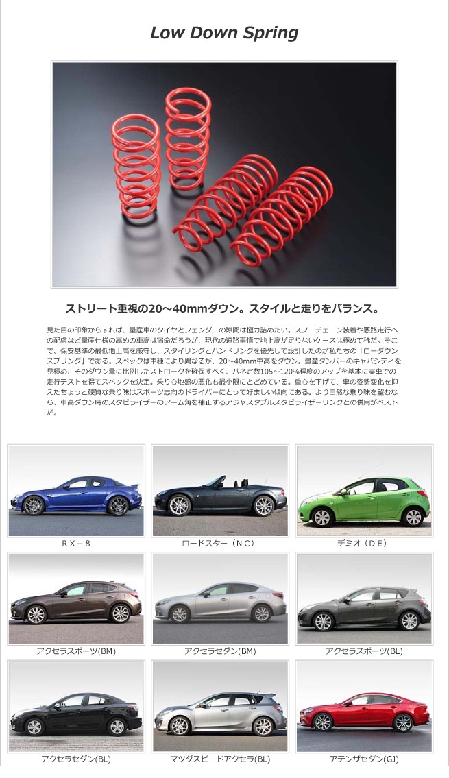 オートエグゼ(AUTOEXE) ローダウンスプリング RX-8 車高調 SE3P