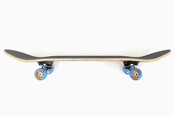 SANTA CRUZ（サンタクルーズ） スケボー スケートボード コンプリート