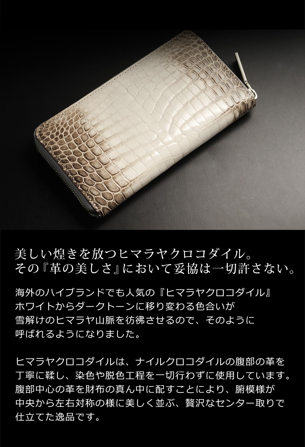 sankyo shokai（三京商会） [10%offクーポン]ヒマラヤ クロコダイル 長