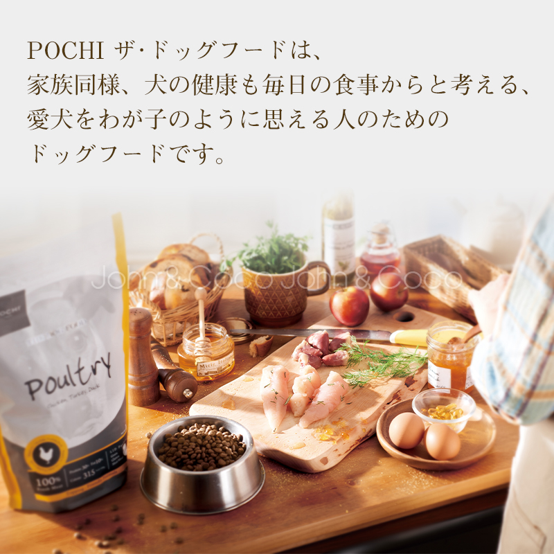 POCHI（ポチ） ザ・ドッグフード ベーシック ワイルドサーモン 1kg