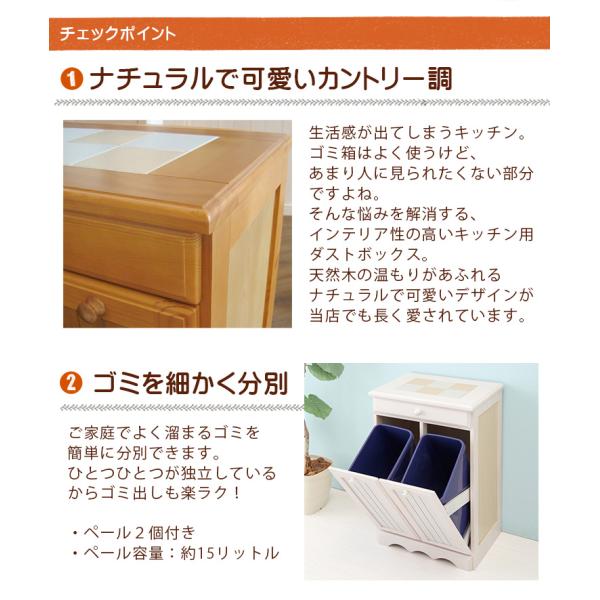 HAGiHARA（萩原） ダストボックス 分別 おしゃれ キッチン ゴミ箱 収納