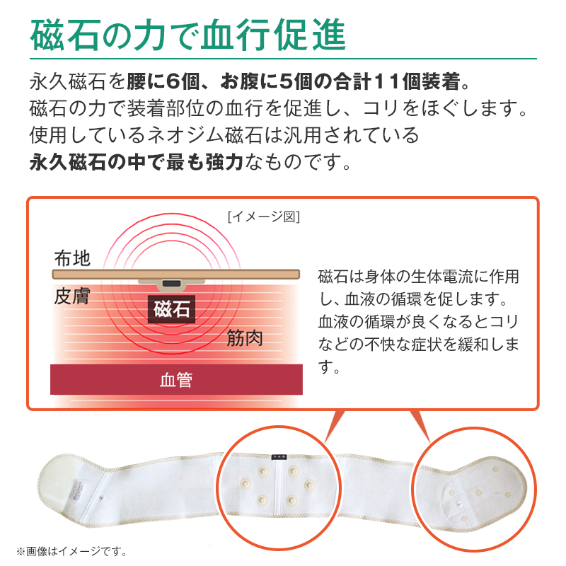 磁気ベルト 腸骨帯 ちょうこつたい 医療用 腰ベルト 管理医療機器 日本