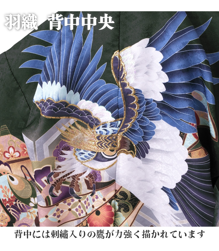 七五三 着物 男の子 五歳 13点フルセット 光 鷹 熨斗 緑 羽織袴セット