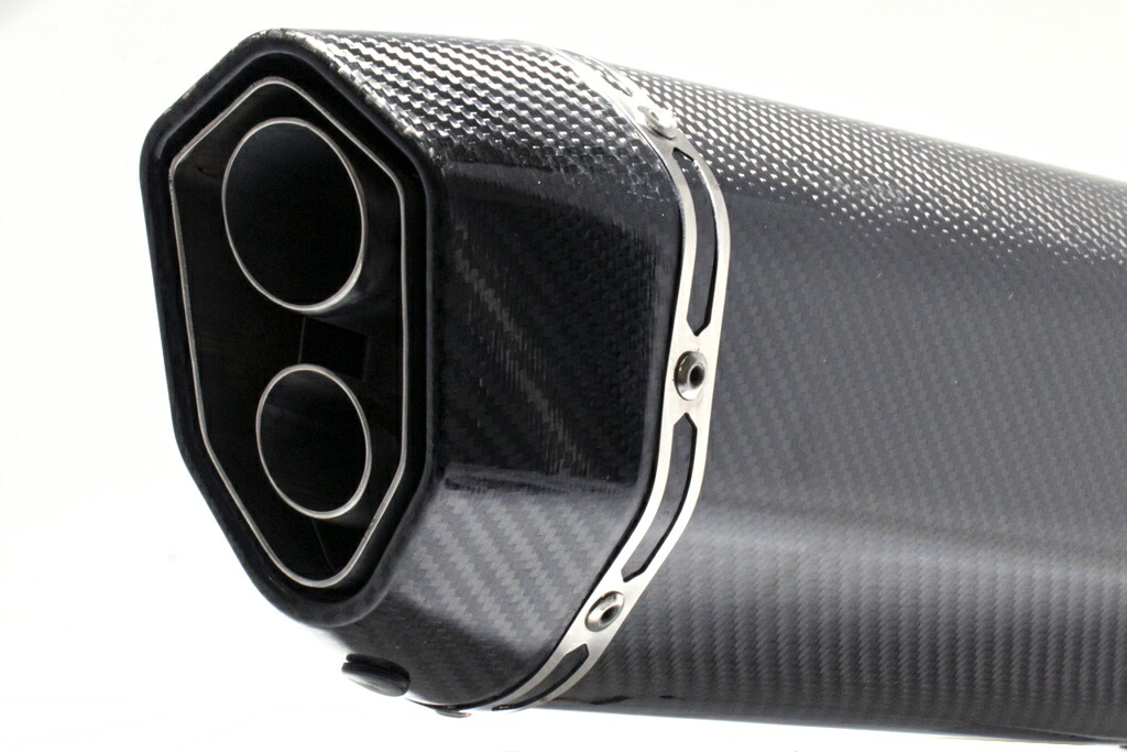 カワサキ NINJA H2SX / SE 2022-2025 (8BL-ZXT02P) LCIPARTS ツイン