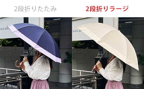 芦屋ロサブラン：2段折りラージ