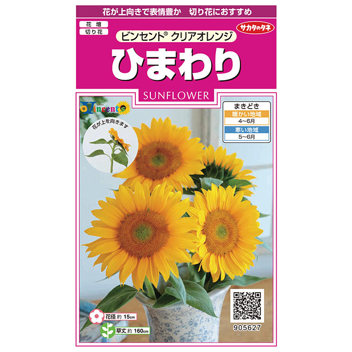 花の種 実咲花5627 ひまわりビンセントクリアオレンジ : STYLE1187