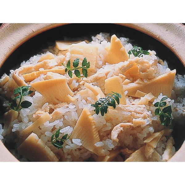 長谷園 かまどさん 1合炊き 伊賀焼 直火専用 ACT-02 一合炊き ご飯鍋