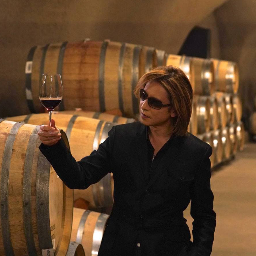 ワイン ワインセット 赤白 ワイ バイ ヨシキ 2本 カベルネ 赤ワイン