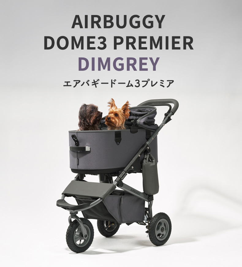 DOME 【選べる豪華特典！】エアバギー ドーム3 プレミア クルーズ